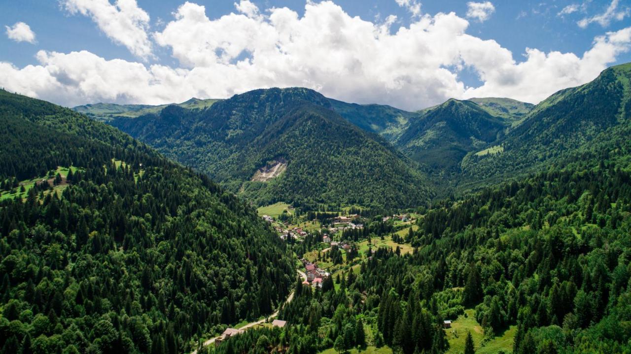 Hotel Roman Maramures - Ski & Spa Resort Statjunea Borsa Экстерьер фото