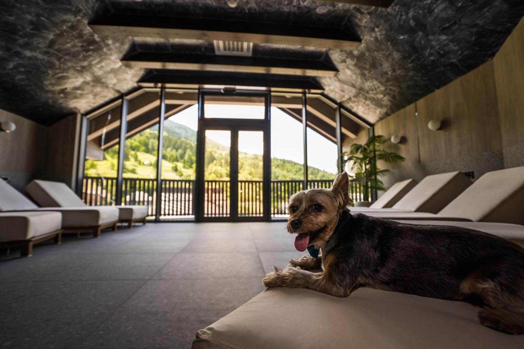 Hotel Roman Maramures - Ski & Spa Resort Statjunea Borsa Экстерьер фото